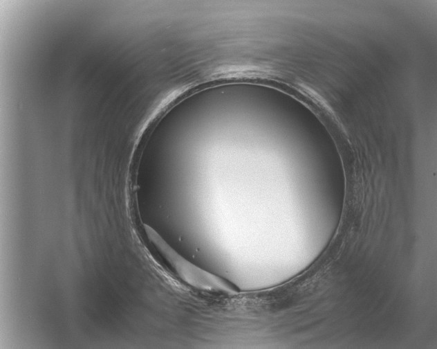 X0000058131277200510071956