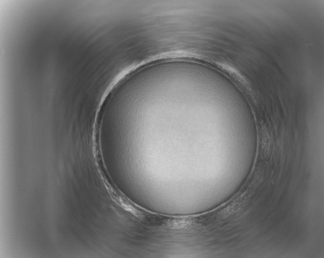 X0000058131278200510071956