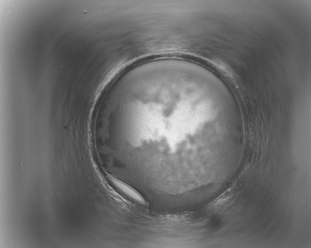 X0000058131279200510071956