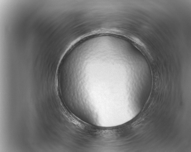 X0000058131280200510071956