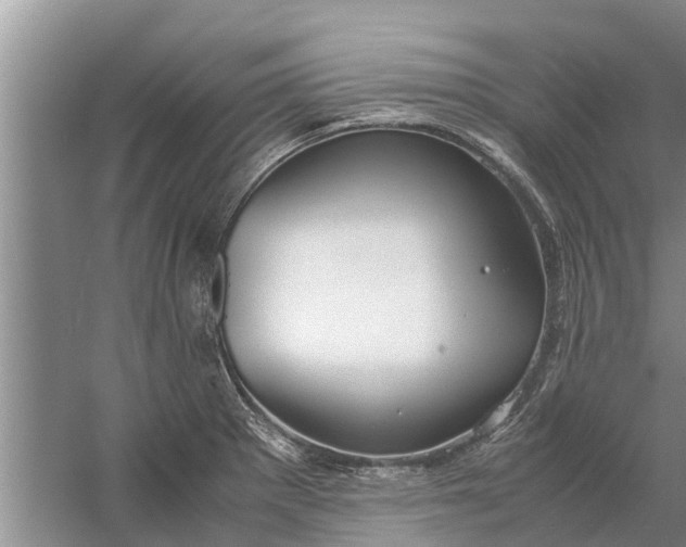 X0000058131281200510071956