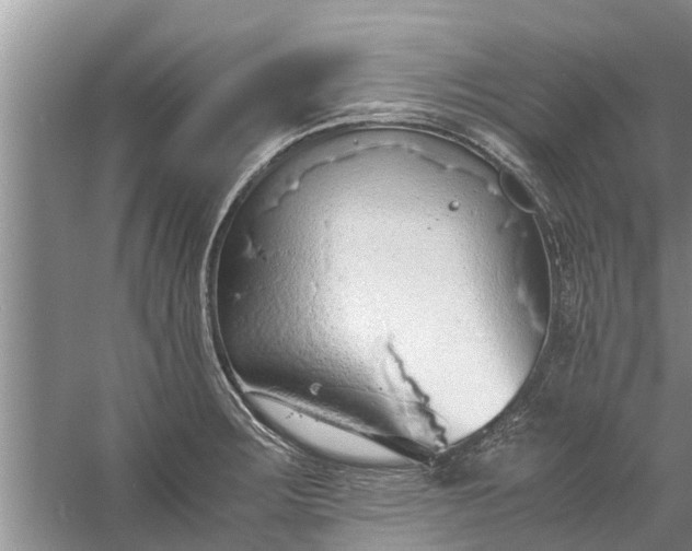 X0000058131283200510071956