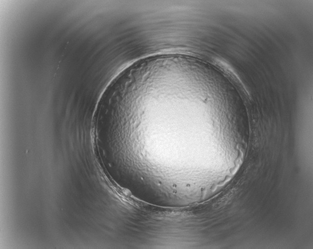 X0000058131284200510071956