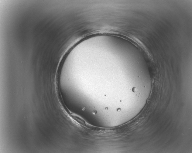 X0000058131285200510071955