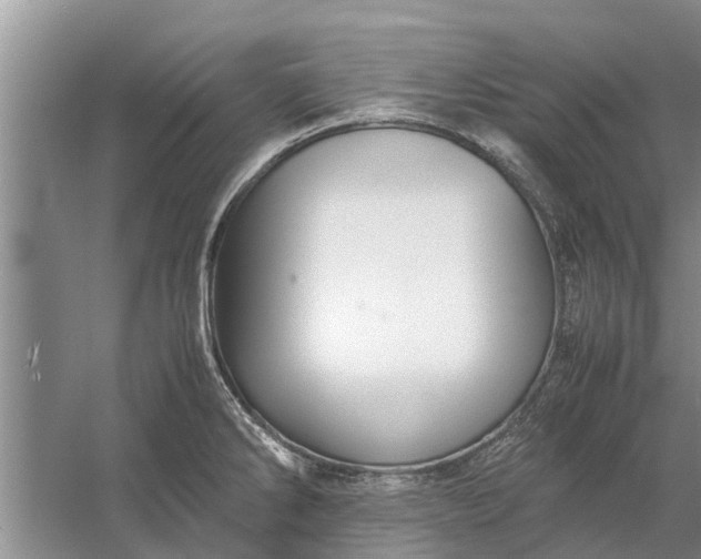 X0000058131286200510071955