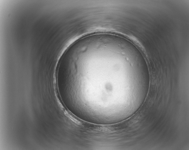 X0000058131287200510071955