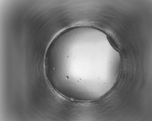 X0000058131288200510071955