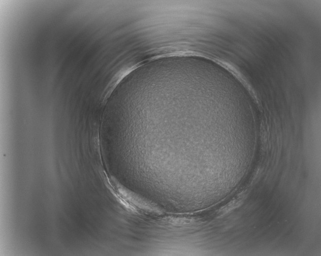 X0000058131289200510071955