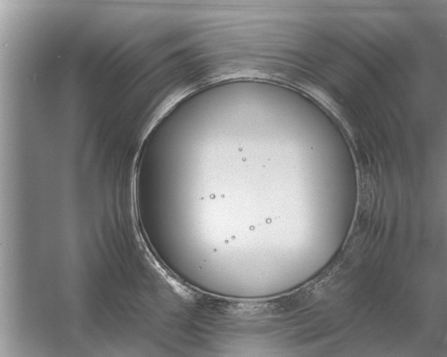 X0000058131290200510071955