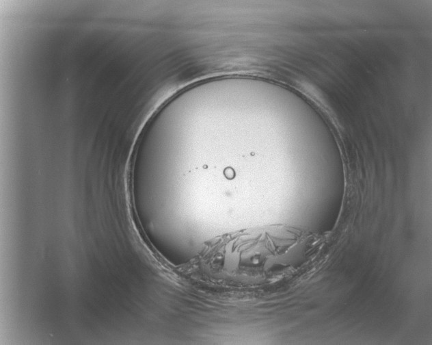 X0000058131291200510071955