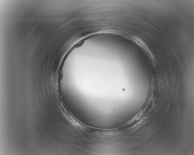 X0000058131292200510071955