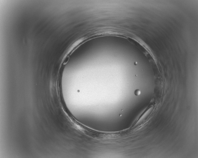 X0000058131293200510071955