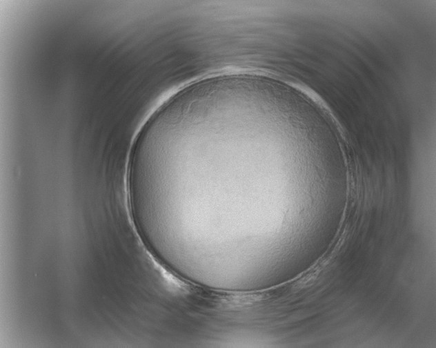 X0000058131294200510071955