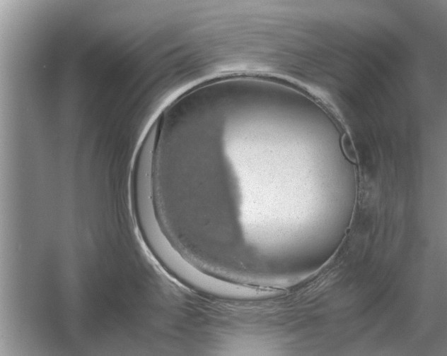 X0000058131295200510071955