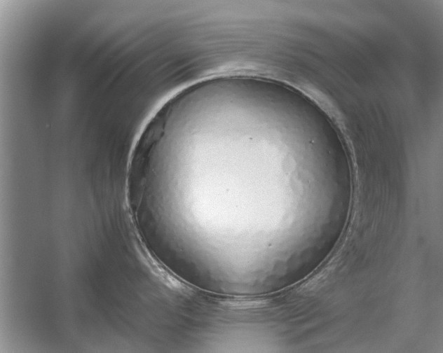 X0000058131296200510071955