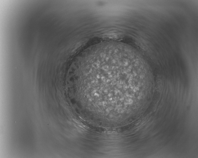 X0000058131297200510071954