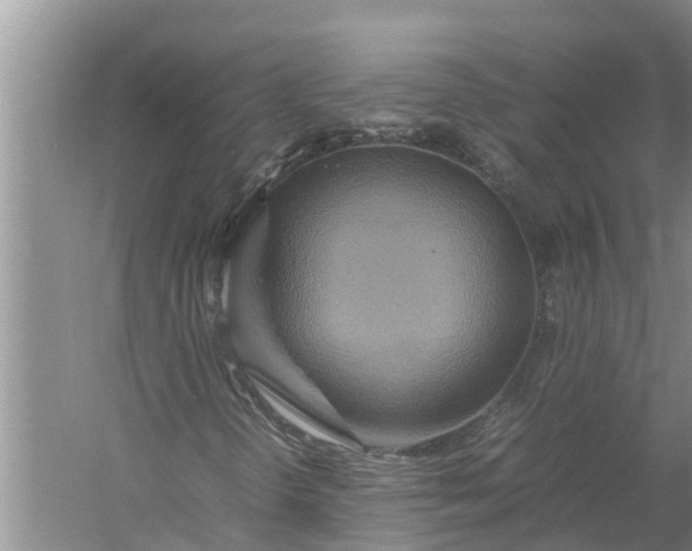 X0000058131298200510071955