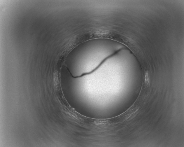 X0000058131299200510071955