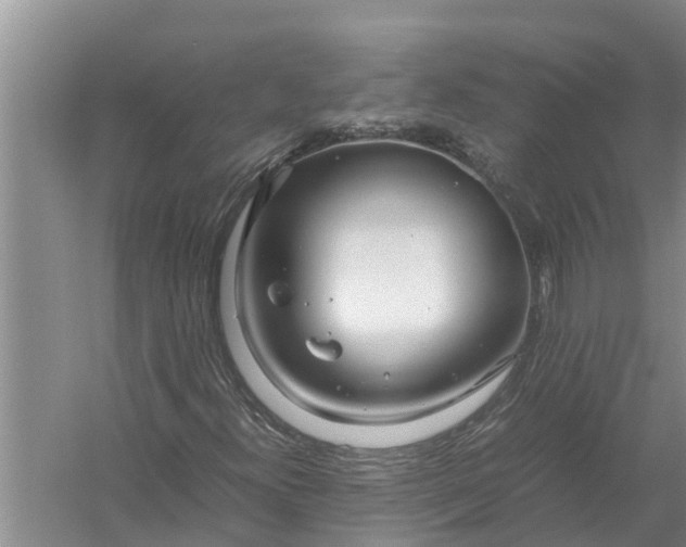 X0000058131300200510071955