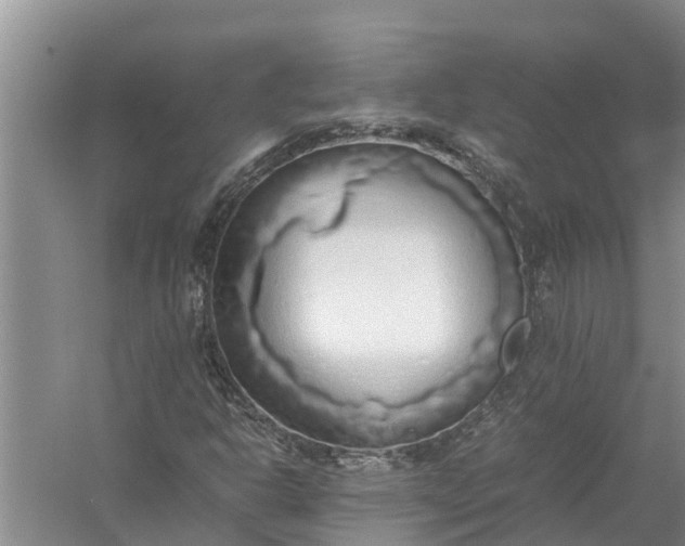 X0000058131302200510071955