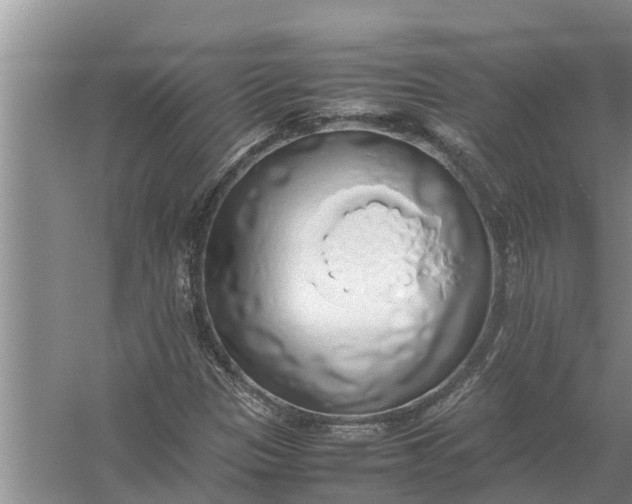 X0000058131305200510071955