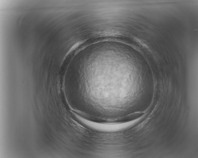 X0000058131306200510071955