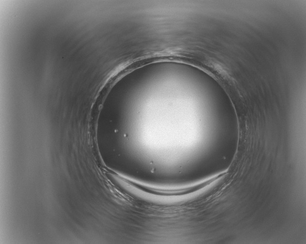 X0000058131308200510071955