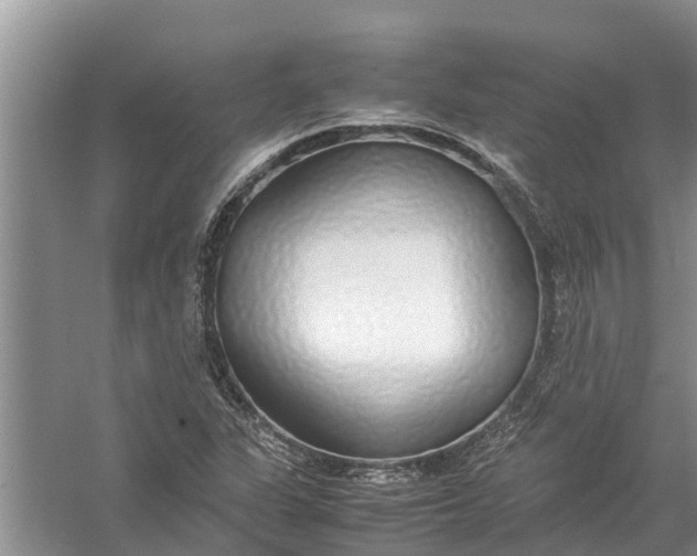 X0000058131311200510071955