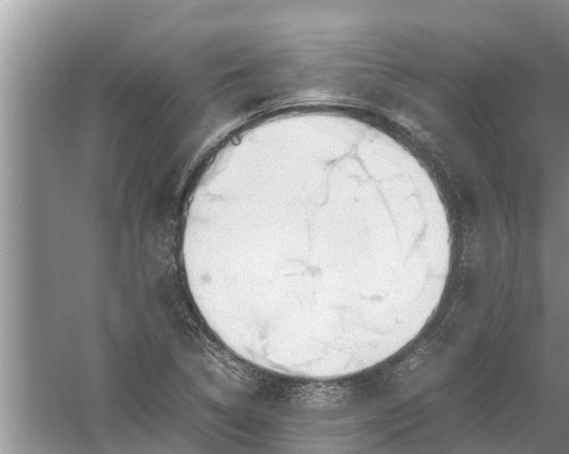 X0000058131314200510071955