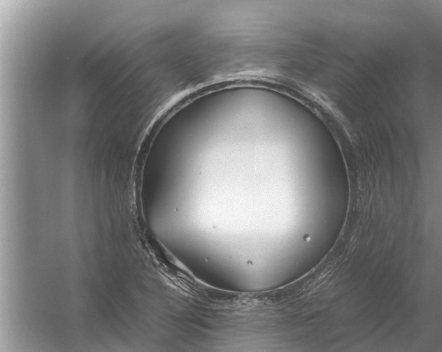 X0000058131316200510071955