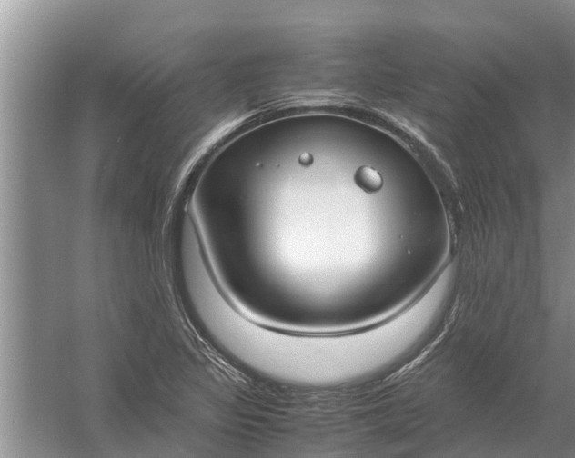 X0000058131317200510071955