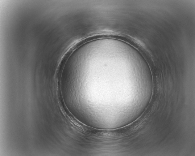 X0000058131318200510071955