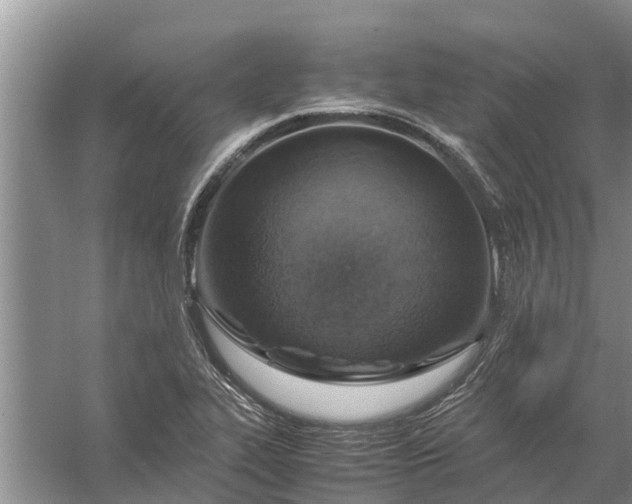 X0000058131319200510071955