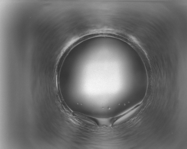 X0000058131320200510071955