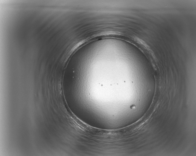 X0000058131321200510071955