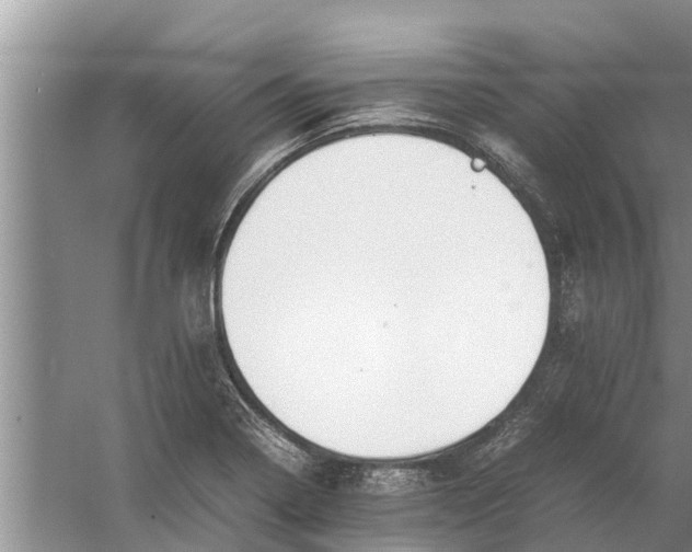 X0000058131322200510071955