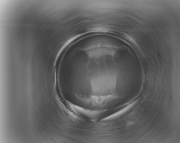 X0000058131323200510071955