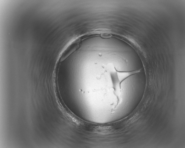 X0000058131325200510071955