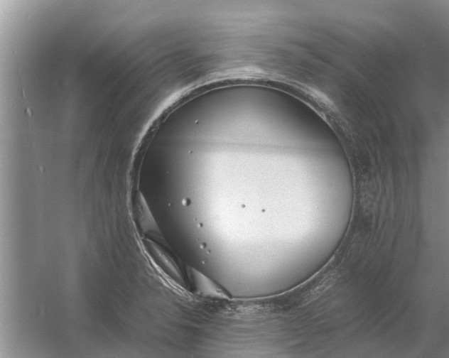 X0000058131326200510071955