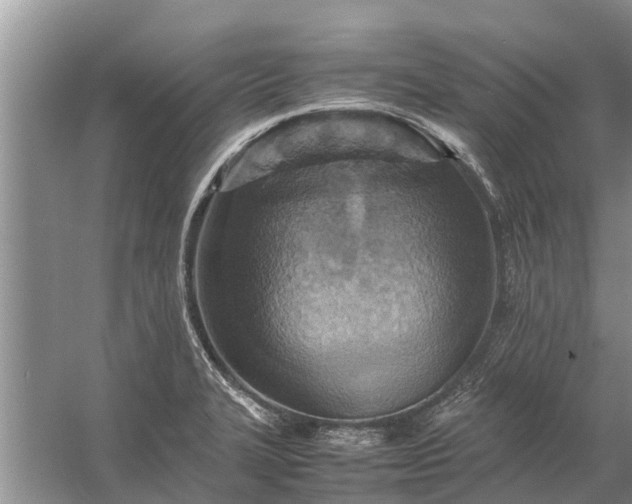 X0000058131327200510071955