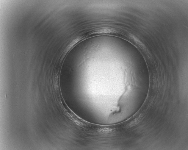 X0000058131329200510071955