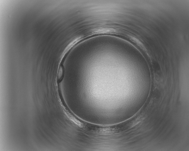 X0000058131330200510071955