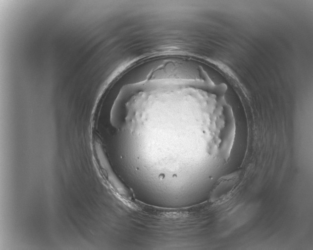 X0000058131333200510071955