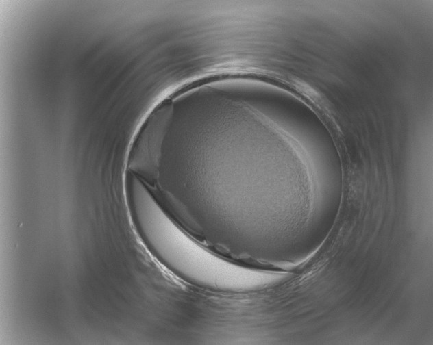 X0000058131334200510071955