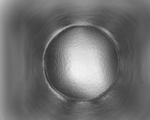 X0000058131335200510071955