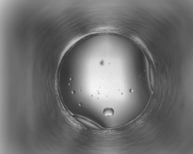 X0000058131336200510071955