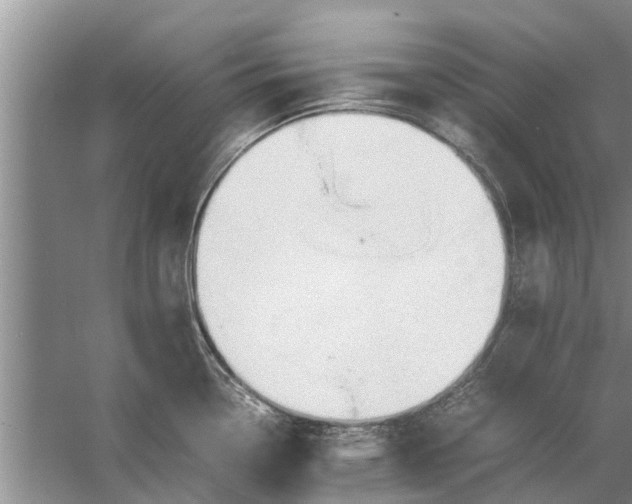 X0000058131338200510071955