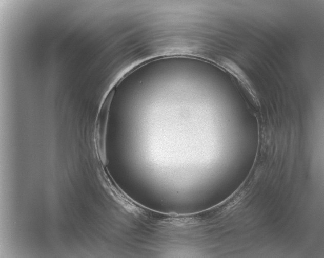 X0000058131340200510071955