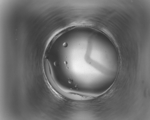 X0000058131344200510071955