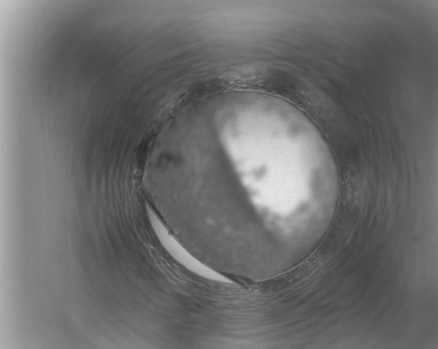 X0000058131346200510071954